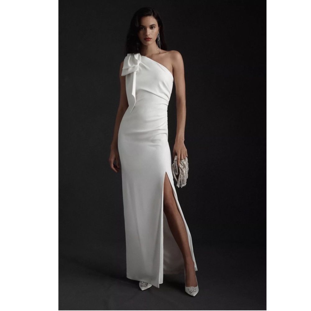 ML Monique Lhuillier x BHLDN Lionel Dress